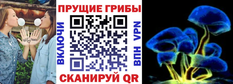 Купить закладки  Клинцы  Псилоцибиновые грибы ЛСД 