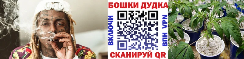 Канабис SATIVA & INDICA Клинцы